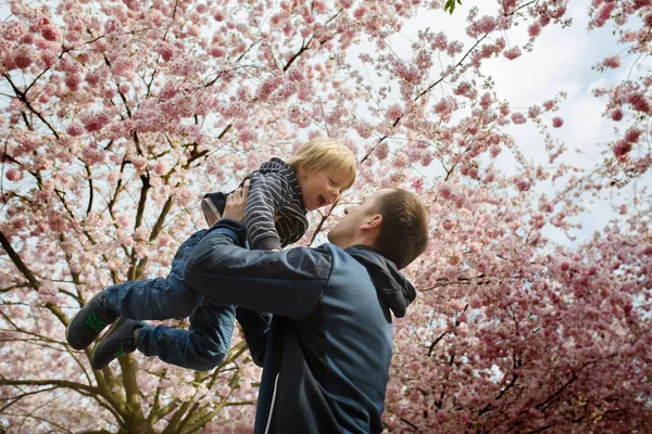 Söta Småbarn Pojke Leker Glatt Rosa Blommande Sacura Trädgård Vår — Stockfoto