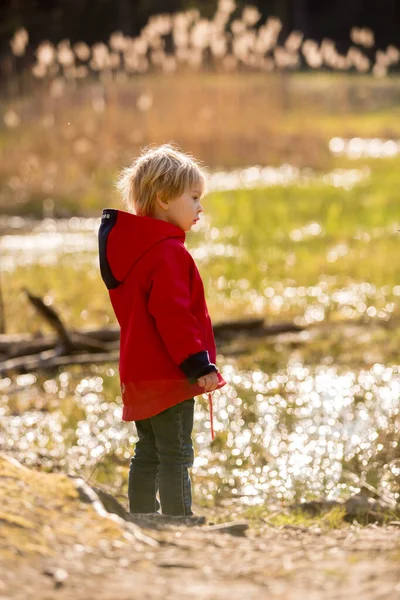 Lilla Barn Blond Barn Pojke Leka Med Handstickad Docka Parken — Stockfoto