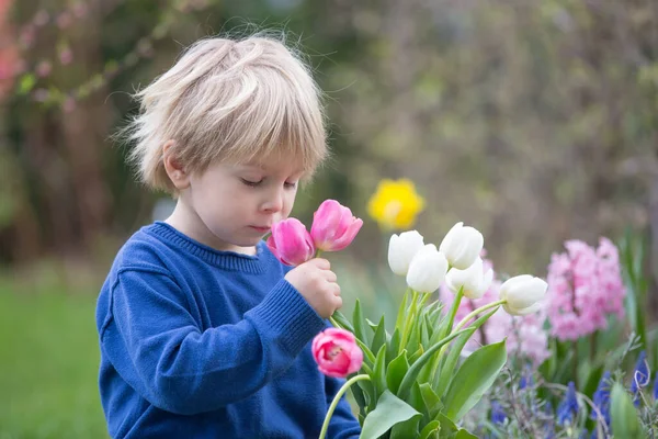 Little Toddler Blond Boy Child Holding Vase Tulips Mom Gift — Stock Photo, Image