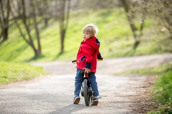 Menino Aprendendo Andar Bicicleta Parque Primavera — Fotografia de Stock