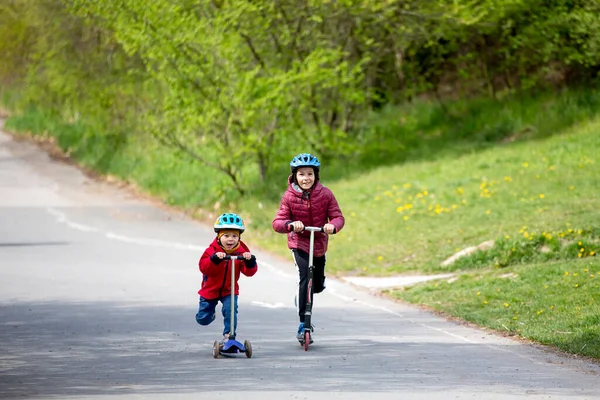 Kinder Brüder Gemeinsames Rollerfahren Park Sonniger Frühlingstag — Stockfoto