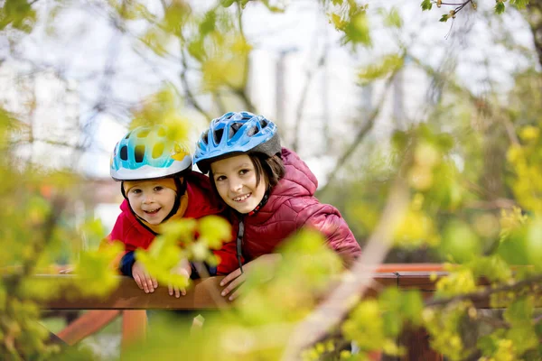 Děti Bratři Jezdící Skútry Parku Společně Jarní Slunný Den — Stock fotografie