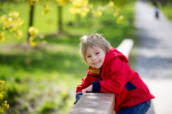 Bambino Bambino Piccolo Equitazione Scooter Nel Parco Giornata Sole Primaverile — Foto Stock