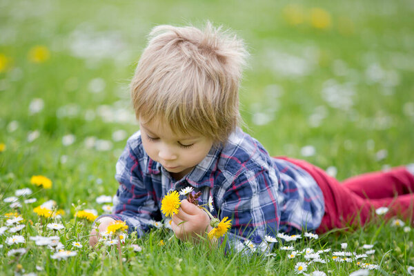 Beautiful toddler blond child, cute boy, lying in the grass in daisy and dandelions flower filed