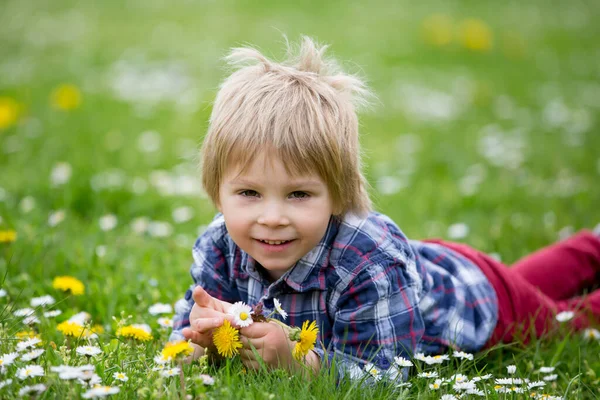 Beautiful Toddler Blond Child Cute Boy Lying Grass Daisy Dandelions — Stock Photo, Image