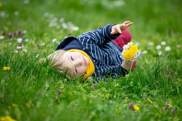 Красива Маленька Блондинка Дитина Милий Хлопчик Лежить Траві Ромашку Кульбабах — стокове фото