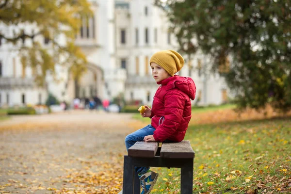 Χαριτωμένο Όμορφο Παιδί Αγόρι Κάθεται Ένα Παγκάκι Μπροστά Από Όμορφο — Φωτογραφία Αρχείου