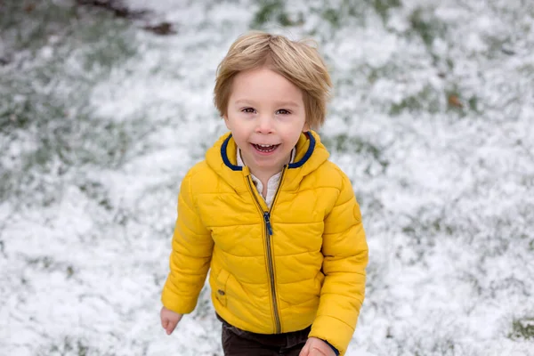 Симпатична Блондинка Малюк Хлопчик Біжить Навколо Квітучого Жовтого Куща Весняний — стокове фото