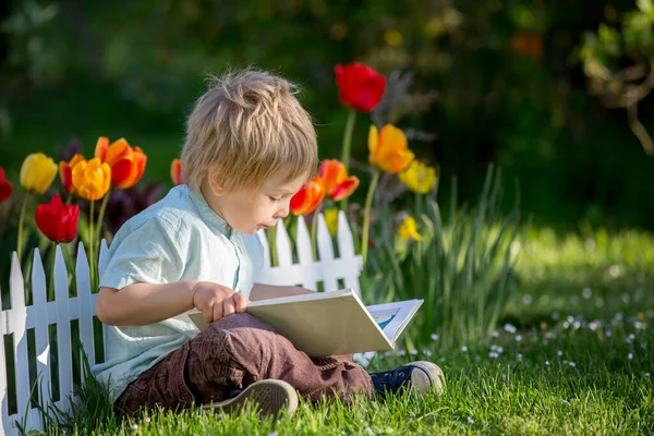 Schönes Blondes Kleinkind Netter Junge Hemd Lesebuch Garten Bei Sonnenuntergang — Stockfoto