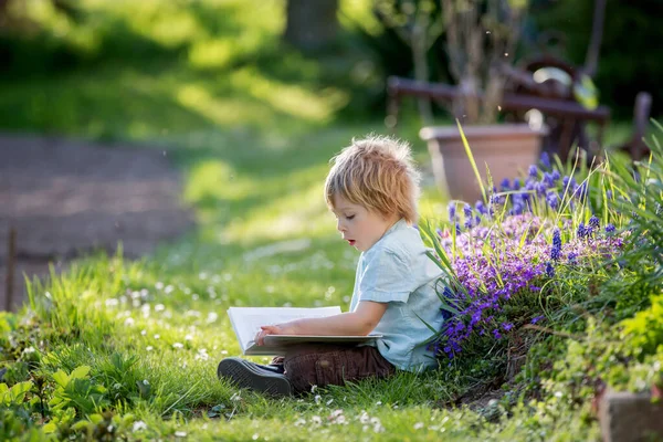 Schönes Blondes Kleinkind Netter Junge Hemd Lesebuch Garten Bei Sonnenuntergang — Stockfoto