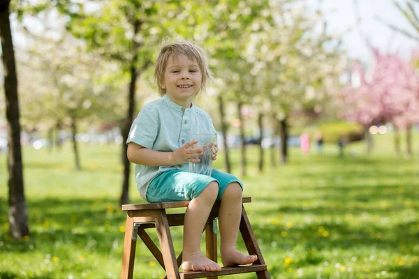 Gyönyörű Szőke Gyermek Fiú Ivóvíz Parkban Egy Forró Nyári Napon — Stock Fotó