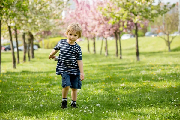 Bella Bionda Bambino Ragazzo Acqua Potabile Nel Parco Una Calda — Foto Stock