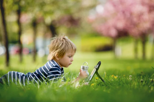 Linda Criança Menino Loiro Brincando Tablet Parque Garrafa Água Lado — Fotografia de Stock