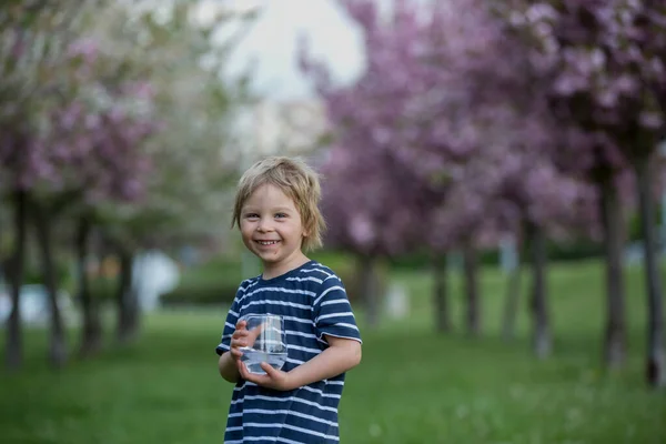 Mooi Blond Kind Jongen Drinkwater Het Park Een Warme Zomerdag — Stockfoto