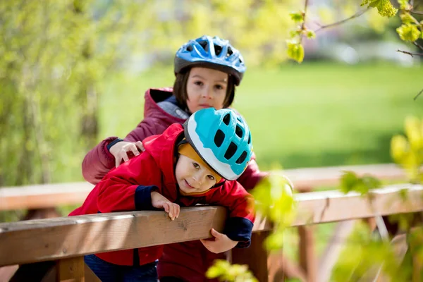 Kinder Brüder Gemeinsames Rollerfahren Park Sonniger Frühlingstag — Stockfoto