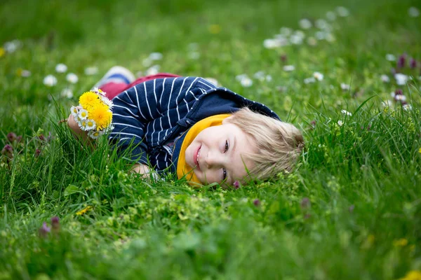 美丽的金发碧眼的孩子 可爱的男孩 躺在菊花丛生的草地上 蒲公英丛生 — 图库照片