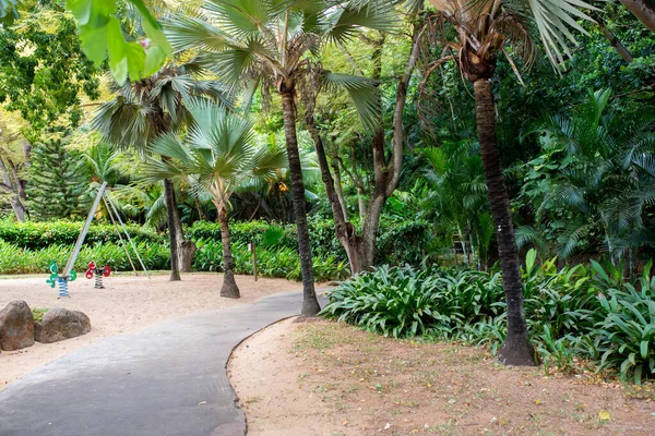 Gyönyörű Park Trópusi Fákkal Pálmákkal Bokrokkal Mauritius Szigetén — Stock Fotó