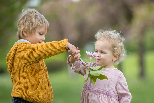 美しい子供たち 幼児の男の子と女の子は 一緒に桜の庭で遊んで 男の子は女の子に野生の花の小さな花束を与えます 子供の友情 幸せな子供時代 — ストック写真