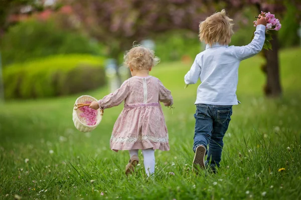 Belas Crianças Menino Menina Brincando Juntos Jardim Flor Cerejeira Correndo — Fotografia de Stock