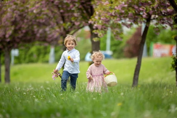 Bei Bambini Bambino Bambina Che Giocano Insieme Nel Giardino Dei — Foto Stock