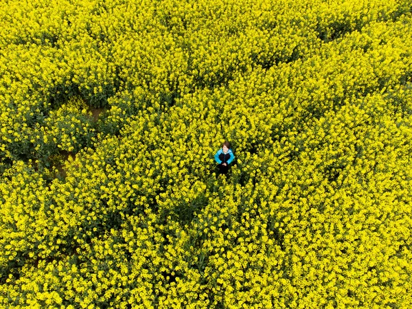 上からオイルシードレイプフィールドに立っている子供 ドローンで撮影した画像 — ストック写真