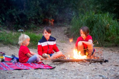 Aile piknik yapıyor ve yaz akşamları nehir kenarında kamp ateşi yakıyor.