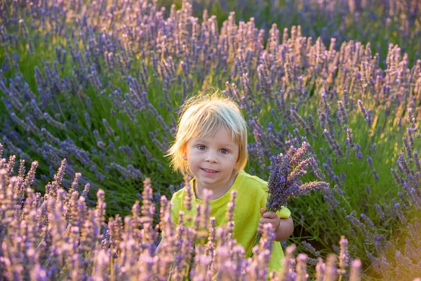 Söt Liten Pojke Vacker Pojke Leker Lavendelfält Vid Solnedgången — Stockfoto