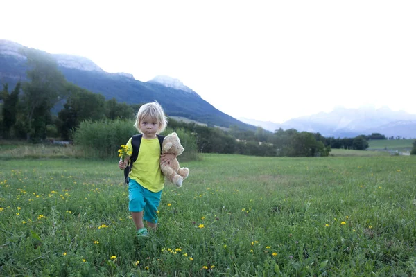 Kinder Beim Wandern Den Alpen Kinder Laufen Draußen Auf Sommerwiese — Stockfoto