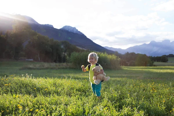 Randonnées Pour Enfants Dans Les Alpes Enfants Marchant Extérieurdans Champ — Photo