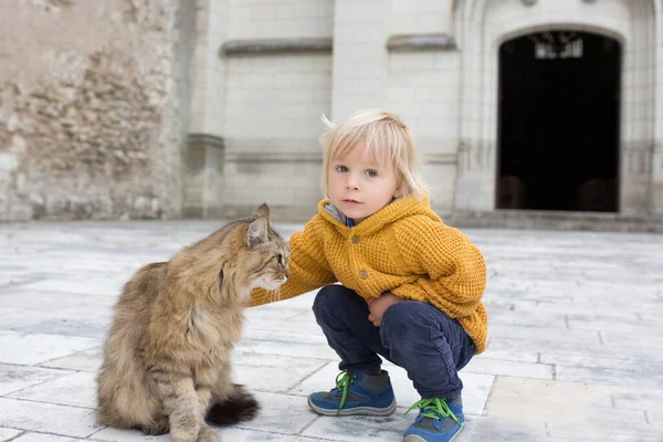 Anak Toddler Anak Laki Laki Bermain Dengan Kucing Besar Jalan — Stok Foto