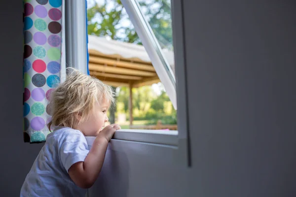 Kleine Peuter Kind Jongen Slapen Een Camper Kijken Uit Het — Stockfoto