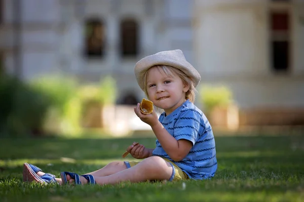 Bambino Bambino Giocare Nei Giardini Del Castello Azay Rideau Nella — Foto Stock