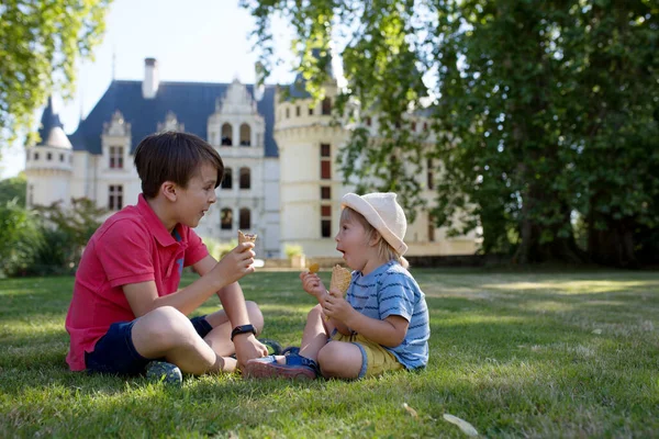 Lindos Niños Hermanos Varones Comiendo Helado Los Jardines Del Castillo — Foto de Stock