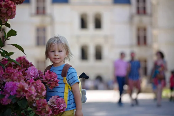 Красивый Портрет Ребенка Малыша Блондина Стоящего Рядом Цветочным Кустом Парке — стоковое фото