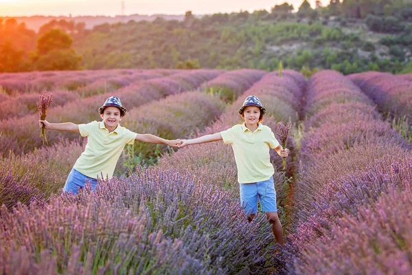 Roztomilé Malé Dítě Krásný Chlapec Hraje Levandulovém Poli Při Západu — Stock fotografie