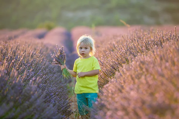 Cute Little Child Beautiful Boy Playing Lavender Field Sunset — Stock Photo, Image