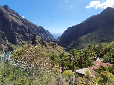 Kanarya Adası 'nda güzel doğa, Teide Ulusal Parkı' nda Roques de Garcia, baharda Tenerife