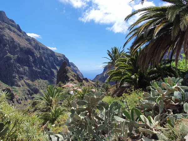 Hermosa Naturaleza Canarias Roques Garcia Parque Nacional Del Teide Tenerife — Foto de Stock