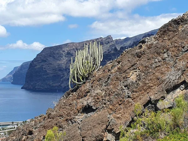Hermosa Naturaleza Canarias Roques Garcia Parque Nacional Del Teide Tenerife — Foto de Stock