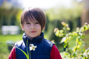 Çocuk, çocuk pembe laleler tutuyor, arkasında saklanıyor, anneler günü hediye konsepti.