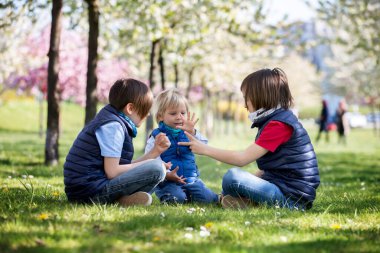 Üç çocuk, erkek kardeşler, taş makas oynuyorlar lanet parkta kağıt oyunu