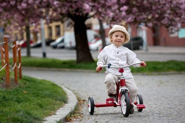 Kind Jongen Het Voorjaarspark Met Bloeiende Magnolia Bomen Bij Zonsondergang — Stockfoto