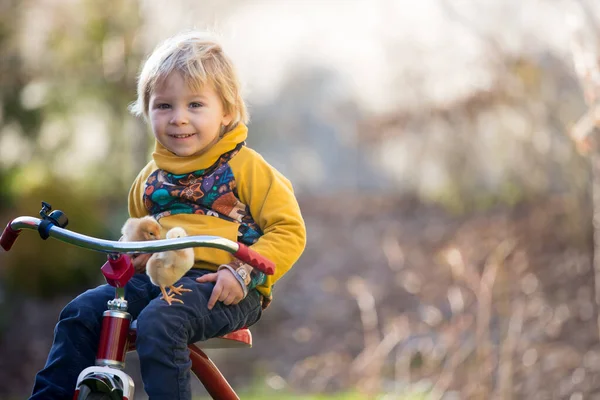 Söt Söt Blond Barn Småbarn Pojke Ridning Trehjuling Med Små — Stockfoto