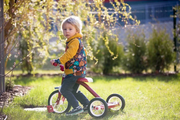 Lief Blond Kind Peuter Jongen Paardrijden Driewieler Met Kleine Kuikens — Stockfoto