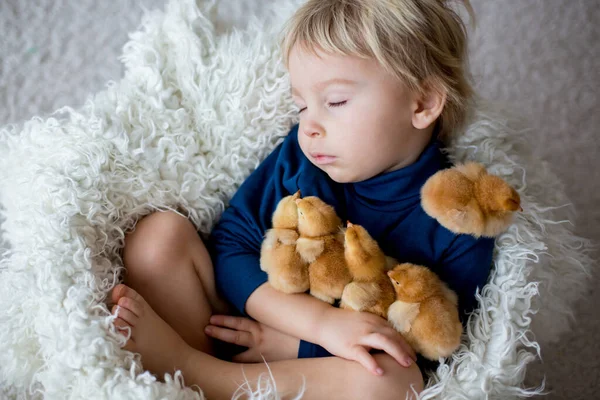 Lindo Niño Rubio Durmiendo Con Polluelos Recién Nacidos Abrazándolos Tiernamente — Foto de Stock