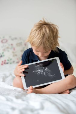 Küçük tatlı çocuk, ultrasonda doğmamış küçük kız kardeşinin fotoğrafını tutuyor.
