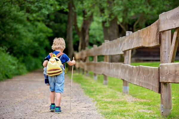 小孩子 小伙子 夏天的一天 在公园篱笆边的小径上走着 徒步旅行着 — 图库照片