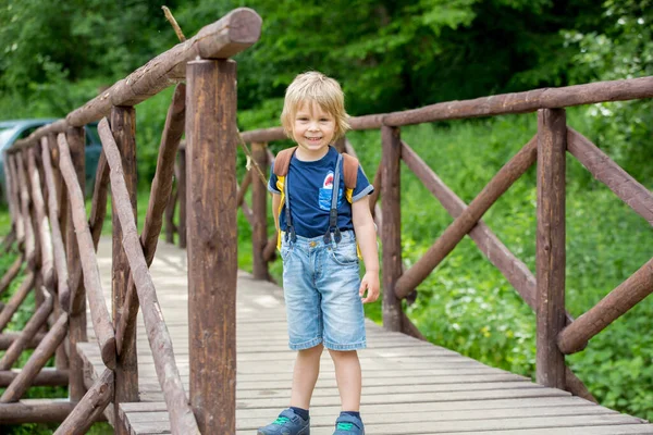 Little Toddler Child Boy Walking Little Path Next Fence Park — Φωτογραφία Αρχείου