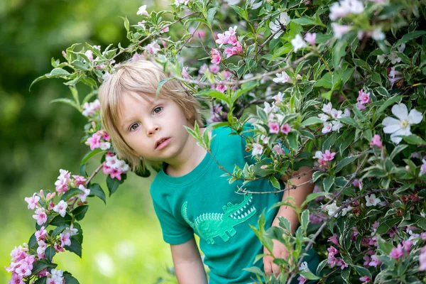 Lindo Niño Pequeño Pie Junto Hermoso Arbusto Flores Parque Primavera —  Fotos de Stock