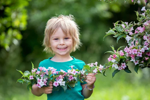 Carino Bambino Piccolo Bambino Piedi Accanto Bellissimo Cespuglio Fiori Nel — Foto Stock